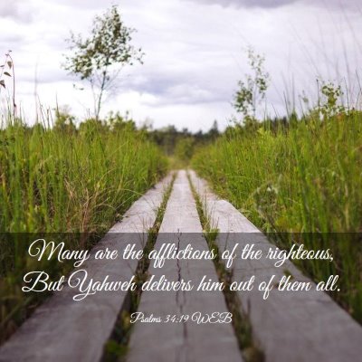 Picture 03 - Psalms 34:19 WEB - Many are the afflictions of the righteous, But - Bible Verse Picture