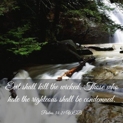 Picture 03 - Psalms 34:21 WEB - Evil shall kill the wicked. Those who hate the - Bible Verse Picture