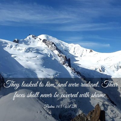 Picture 03 - Psalms 34:5 WEB - They looked to him, and were radiant. Their faces - Bible Verse Picture