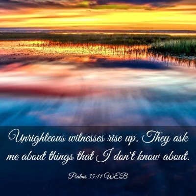 Picture 03 - Psalms 35:11 WEB - Unrighteous witnesses rise up. They ask me about - Bible Verse Picture