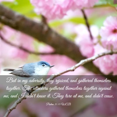Picture 03 - Psalms 35:15 WEB - But in my adversity, they rejoiced, and gathered - Bible Verse Picture
