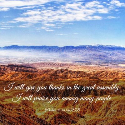 Picture 03 - Psalms 35:18 WEB - I will give you thanks in the great assembly. I - Bible Verse Picture