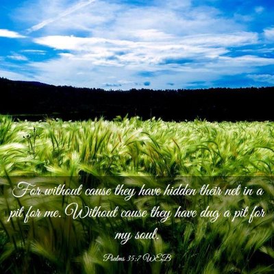 Picture 03 - Psalms 35:7 WEB - For without cause they have hidden their net in a - Bible Verse Picture