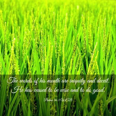 Picture 03 - Psalms 36:3 WEB - The words of his mouth are iniquity and deceit. - Bible Verse Picture