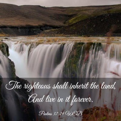 Picture 03 - Psalms 37:29 WEB - The righteous shall inherit the land, And live in - Bible Verse Picture