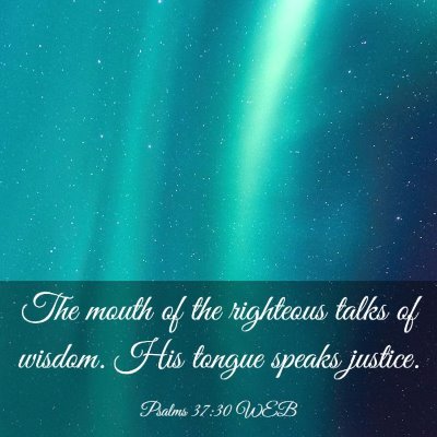 Picture 03 - Psalms 37:30 WEB - The mouth of the righteous talks of wisdom. His - Bible Verse Picture