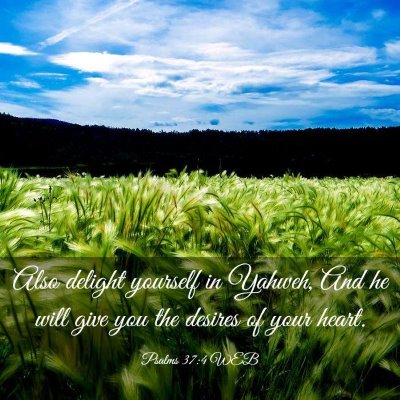 Picture 03 - Psalms 37:4 WEB - Also delight yourself in Yahweh, And he will give - Bible Verse Picture