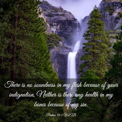 Picture 03 - Psalms 38:3 WEB - There is no soundness in my flesh because of your - Bible Verse Picture