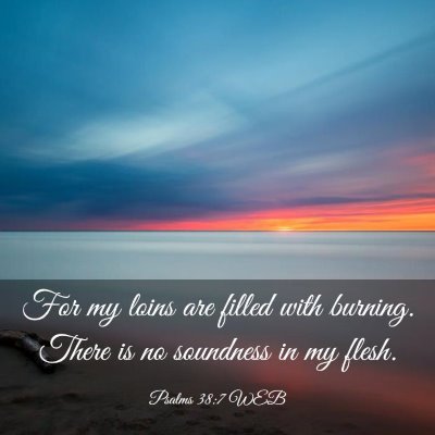 Picture 03 - Psalms 38:7 WEB - For my loins are filled with burning. There is no - Bible Verse Picture