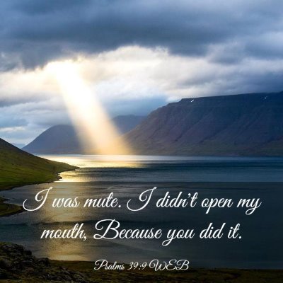Picture 03 - Psalms 39:9 WEB - I was mute. I didn't open my mouth, Because you - Bible Verse Picture