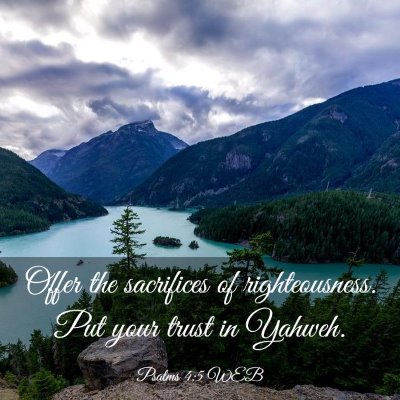 Picture 03 - Psalms 4:5 WEB - Offer the sacrifices of righteousness. Put your - Bible Verse Picture