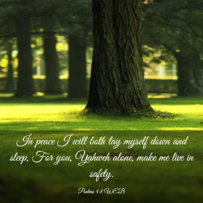 Picture 03 - Psalms 4:8 WEB - In peace I will both lay myself down and sleep, - Bible Verse Picture