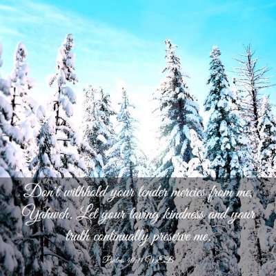 Picture 03 - Psalms 40:11 WEB - Don't withhold your tender mercies from me, - Bible Verse Picture