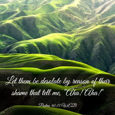 Picture 03 - Psalms 40:15 WEB - Let them be desolate by reason of their shame - Bible Verse Picture