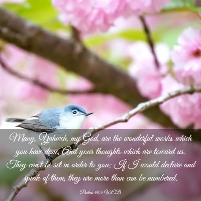 Picture 03 - Psalms 40:5 WEB - Many, Yahweh, my God, are the wonderful works - Bible Verse Picture