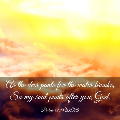 Picture 03 - Psalms 42:1 WEB - As the deer pants for the water brooks, So my - Bible Verse Picture