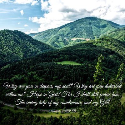 Picture 03 - Psalms 42:11 WEB - Why are you in despair, my soul? Why are you - Bible Verse Picture