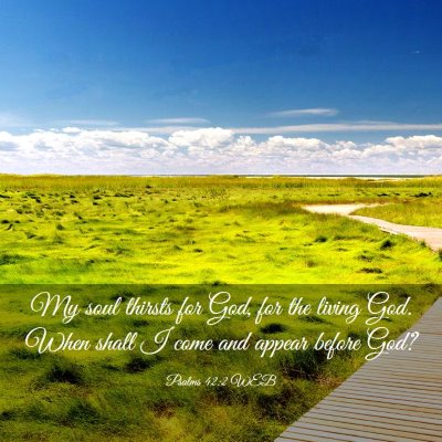Picture 03 - Psalms 42:2 WEB - My soul thirsts for God, for the living God. When - Bible Verse Picture