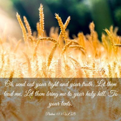 Picture 03 - Psalms 43:3 WEB - Oh, send out your light and your truth. Let them - Bible Verse Picture