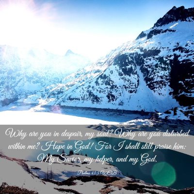 Picture 03 - Psalms 43:5 WEB - Why are you in despair, my soul? Why are you - Bible Verse Picture