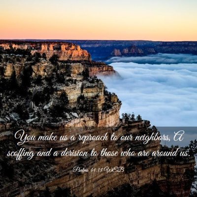 Picture 03 - Psalms 44:13 WEB - You make us a reproach to our neighbors, A - Bible Verse Picture