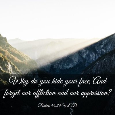 Picture 03 - Psalms 44:24 WEB - Why do you hide your face, And forget our - Bible Verse Picture