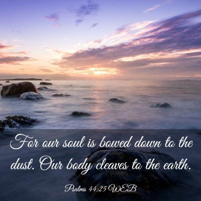 Picture 03 - Psalms 44:25 WEB - For our soul is bowed down to the dust. Our body - Bible Verse Picture