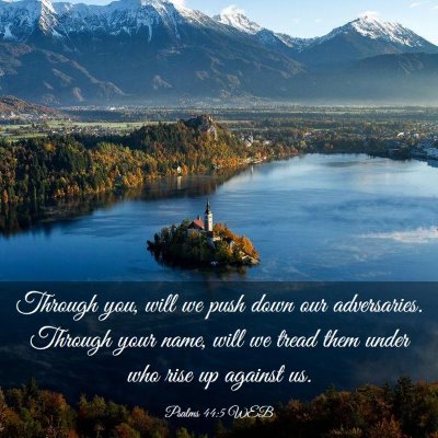 Picture 03 - Psalms 44:5 WEB - Through you, will we push down our adversaries. - Bible Verse Picture
