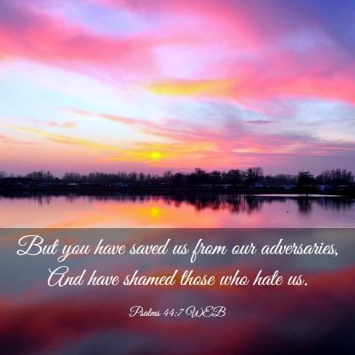 Picture 03 - Psalms 44:7 WEB - But you have saved us from our adversaries, And - Bible Verse Picture