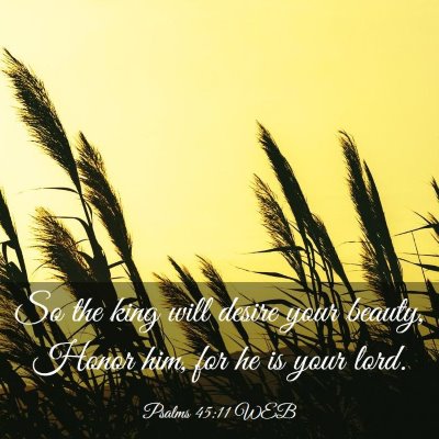Picture 03 - Psalms 45:11 WEB - So the king will desire your beauty, Honor him, - Bible Verse Picture