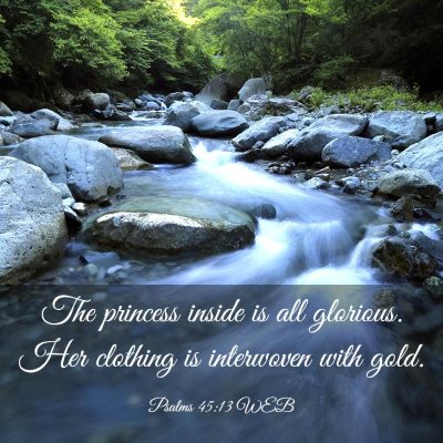 Picture 03 - Psalms 45:13 WEB - The princess inside is all glorious. Her clothing - Bible Verse Picture