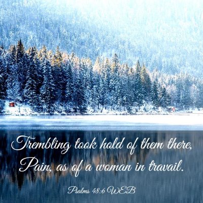 Picture 03 - Psalms 48:6 WEB - Trembling took hold of them there, Pain, as of a - Bible Verse Picture