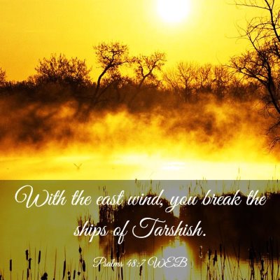 Picture 03 - Psalms 48:7 WEB - With the east wind, you break the ships of - Bible Verse Picture