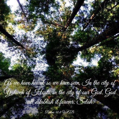 Picture 03 - Psalms 48:8 WEB - As we have heard, so we have seen, In the city of - Bible Verse Picture