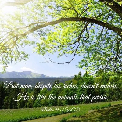 Picture 03 - Psalms 49:12 WEB - But man, despite his riches, doesn't endure. He - Bible Verse Picture