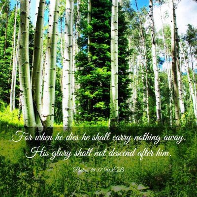Picture 03 - Psalms 49:17 WEB - For when he dies he shall carry nothing away. His - Bible Verse Picture