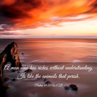 Picture 03 - Psalms 49:20 WEB - A man who has riches without understanding, Is - Bible Verse Picture