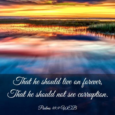 Picture 03 - Psalms 49:9 WEB - That he should live on forever, That he should - Bible Verse Picture