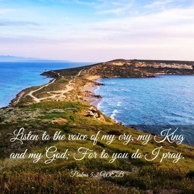 Picture 03 - Psalms 5:2 WEB - Listen to the voice of my cry, my King and my - Bible Verse Picture