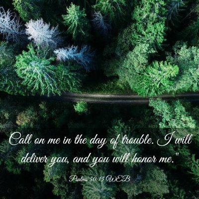 Picture 03 - Psalms 50:15 WEB - Call on me in the day of trouble. I will deliver - Bible Verse Picture