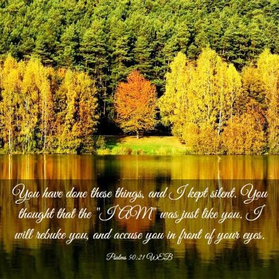 Picture 03 - Psalms 50:21 WEB - You have done these things, and I kept silent. - Bible Verse Picture