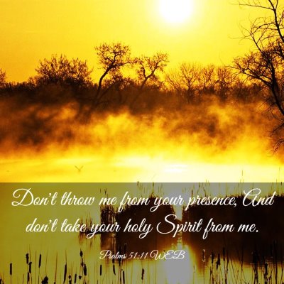 Picture 03 - Psalms 51:11 WEB - Don't throw me from your presence, And don't take - Bible Verse Picture