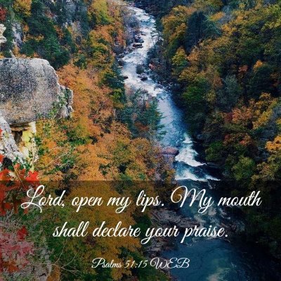Picture 03 - Psalms 51:15 WEB - Lord, open my lips. My mouth shall declare your - Bible Verse Picture
