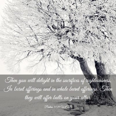 Picture 03 - Psalms 51:19 WEB - Then you will delight in the sacrifices of - Bible Verse Picture