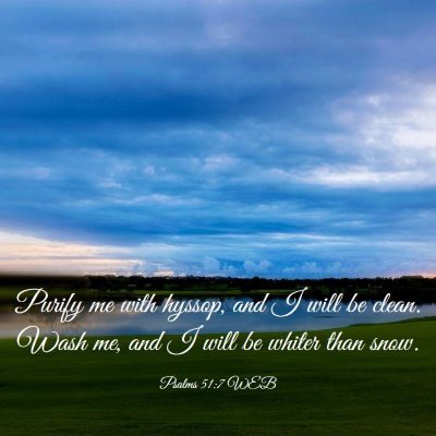 Picture 03 - Psalms 51:7 WEB - Purify me with hyssop, and I will be clean. Wash - Bible Verse Picture