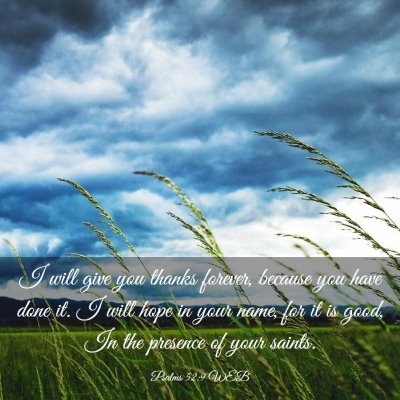 Picture 03 - Psalms 52:9 WEB - I will give you thanks forever, because you have - Bible Verse Picture
