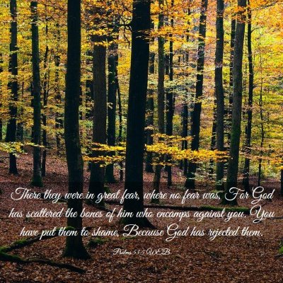 Picture 03 - Psalms 53:5 WEB - There they were in great fear, where no fear was, - Bible Verse Picture