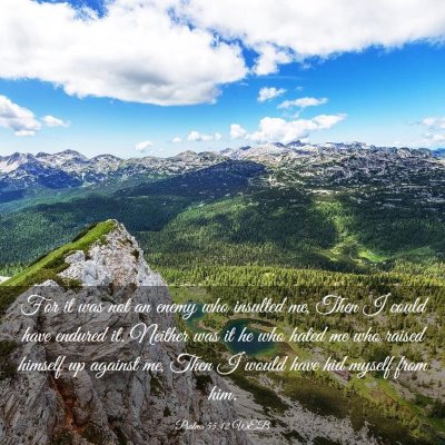 Picture 03 - Psalms 55:12 WEB - For it was not an enemy who insulted me, Then I - Bible Verse Picture