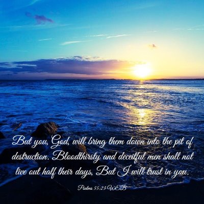 Picture 03 - Psalms 55:23 WEB - But you, God, will bring them down into the pit - Bible Verse Picture