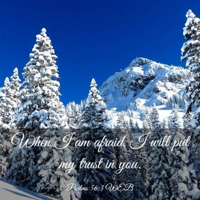 Picture 03 - Psalms 56:3 WEB - When I am afraid, I will put my trust in - Bible Verse Picture